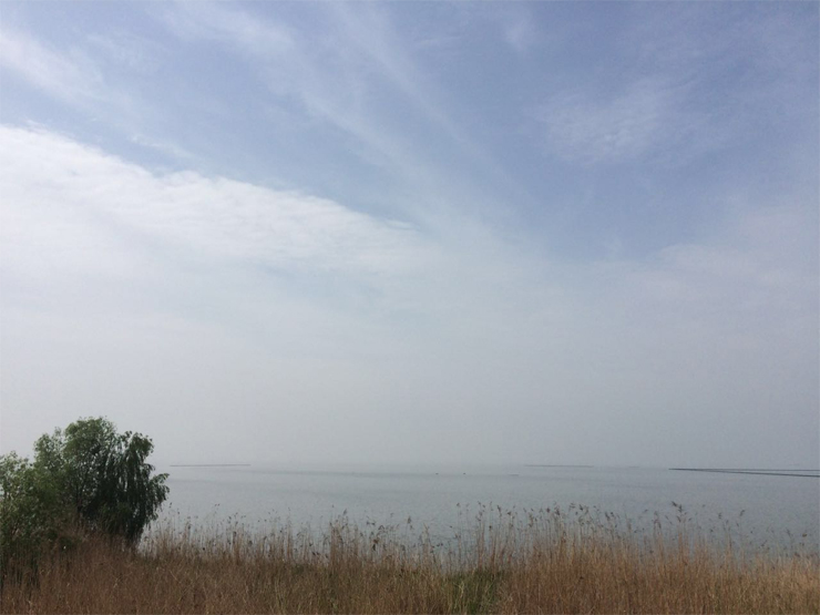 -ֱ;